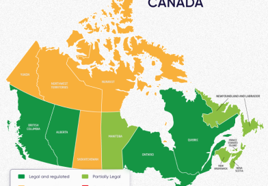 Regional Gambling Regulations and Their Impact on Player Accessibility